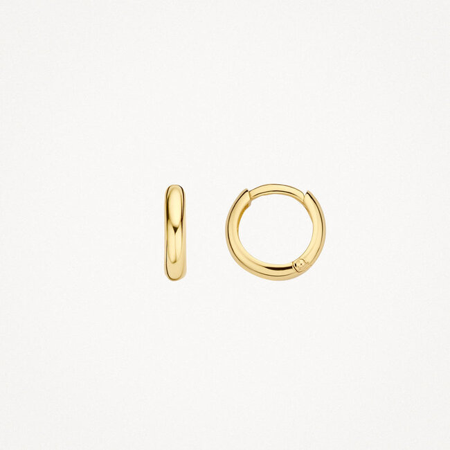 Oorringen 7221YGO - Geelgoud (14krt.)