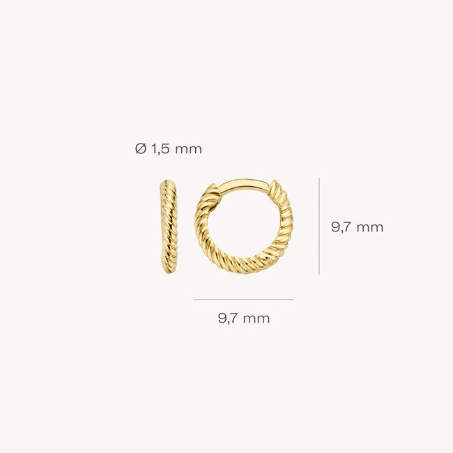 Oorringen 7231YGO - Geel Goud (14krt.)