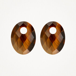 Blush Gold Jewels Oorbedels 810TIGO - Tiger Eye