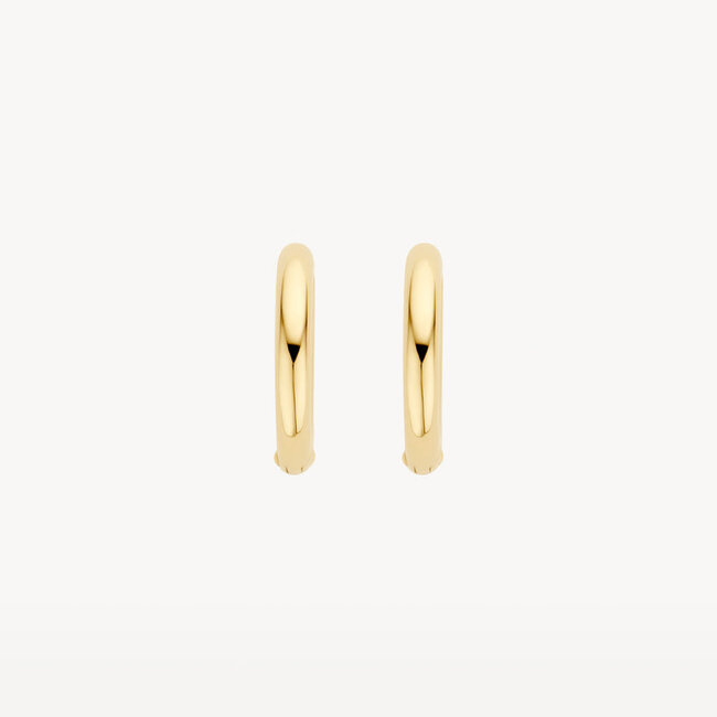 Oorringen 7317YGO - 14k Geel goud