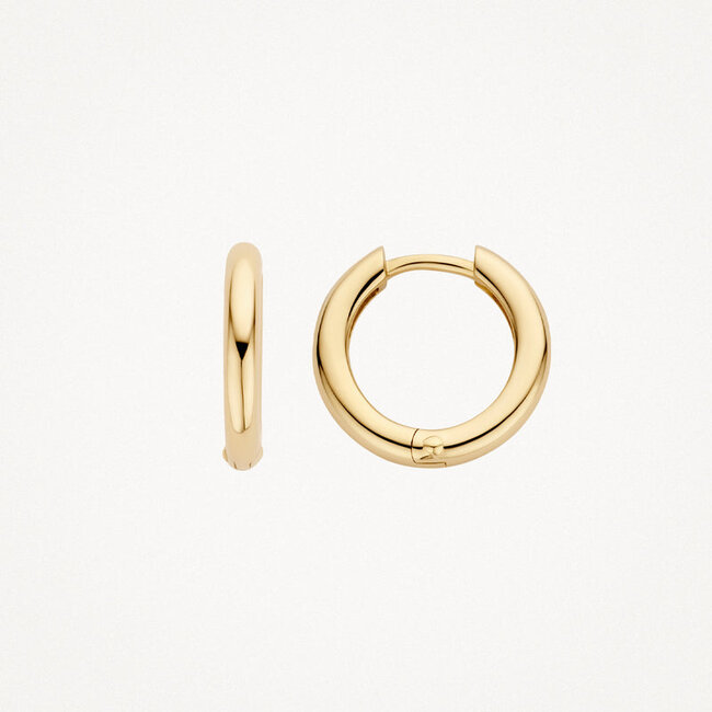 Oorringen 7317YGO - 14k Geel goud
