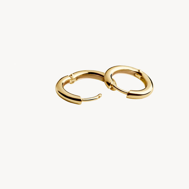 Oorringen 7317YGO - 14k Geel goud