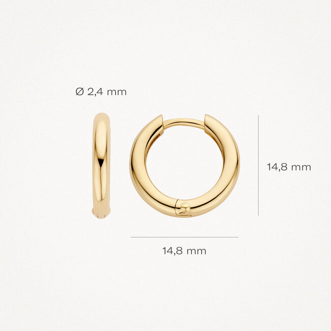 Oorringen 7317YGO - 14k Geel goud