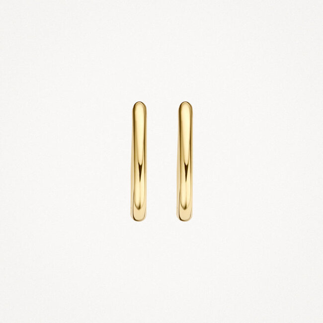 Oorringen 7219YGO - 14k Geelgoud