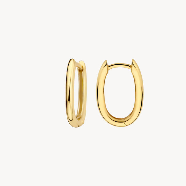 Oorringen 7219YGO - 14k Geelgoud