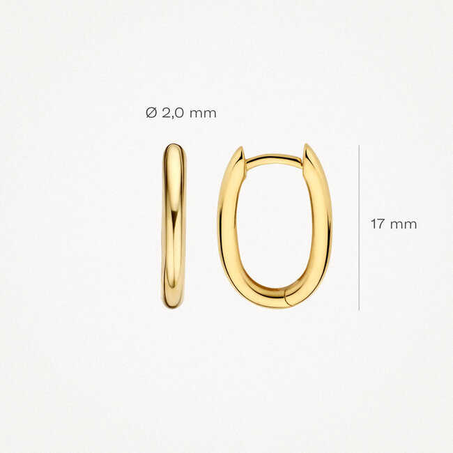 Oorringen 7219YGO - 14k Geelgoud