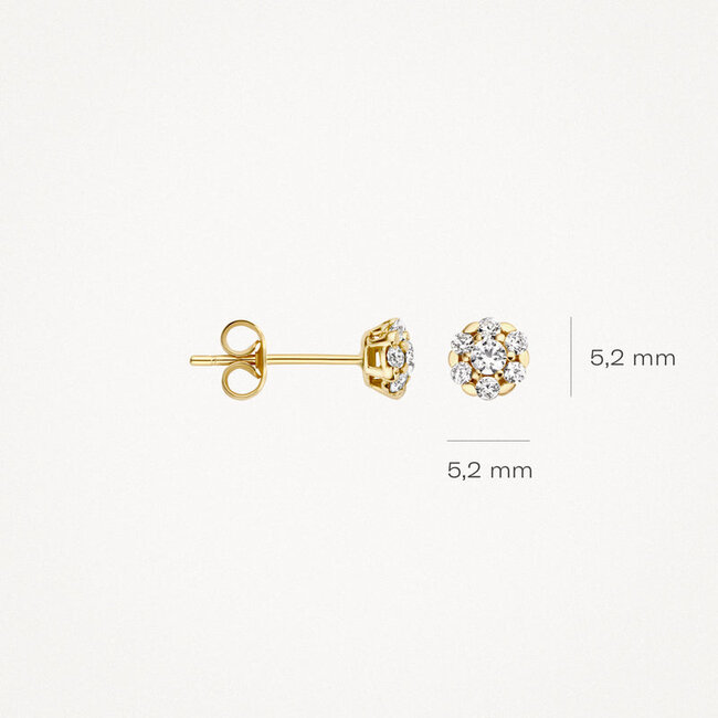 Oorknoppen 7241YZI - 14k Geelgoud met zirkonia