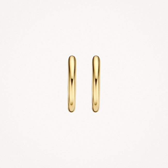 Oorringen 7218YGO - 14k Geelgoud