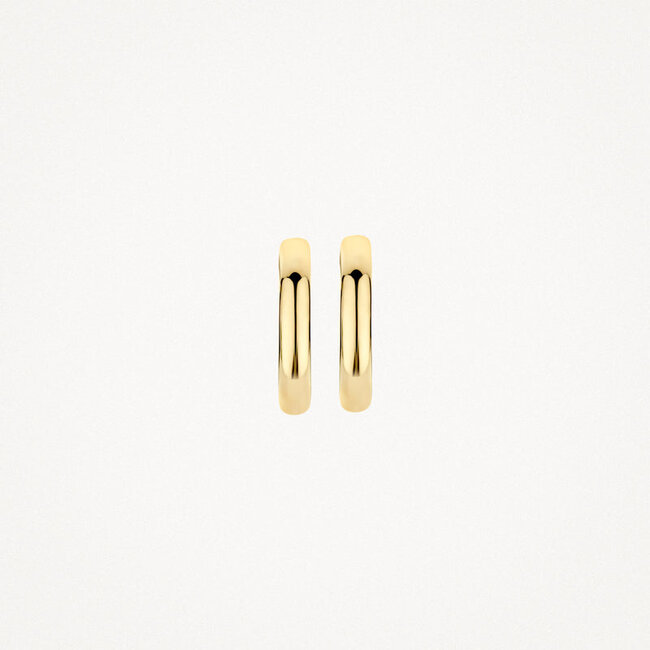 Oorringen 7203YGO - 14k Geelgoud