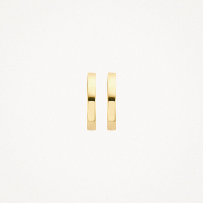 Oorringen 7202YGO - 14k Geelgoud