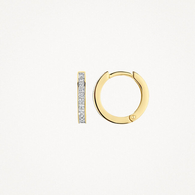 Oorringen 7163BZI - 14k Geel en Witgoud met Zirkonia