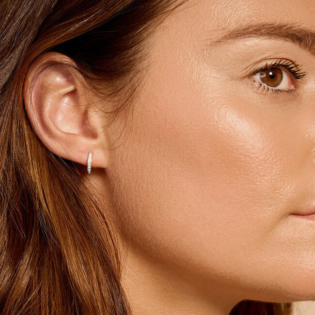 Oorringen 7163BZI - 14k Geel en Witgoud met Zirkonia