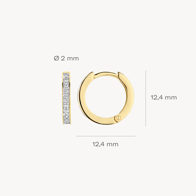 Oorringen 7163BZI - 14k Geel en Witgoud met Zirkonia