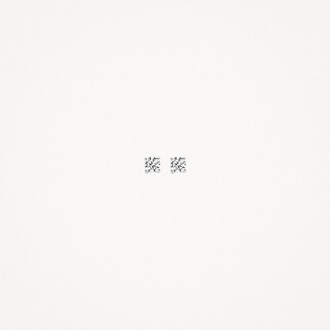 Oorknoppen 7138WZI - 14k Witgoud met zirkonia