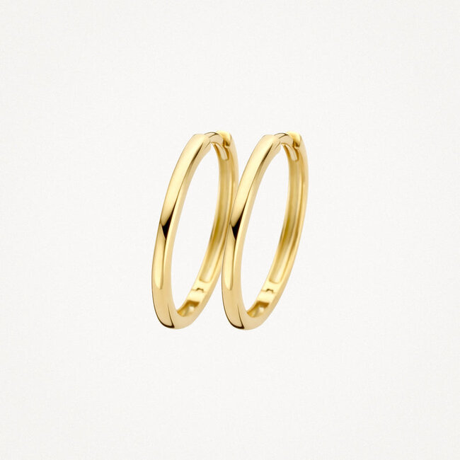 Oorringen 7274YGO - 14k Geelgoud