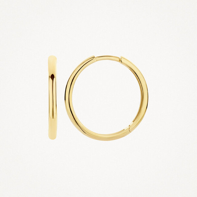 Oorringen 7274YGO - 14k Geelgoud