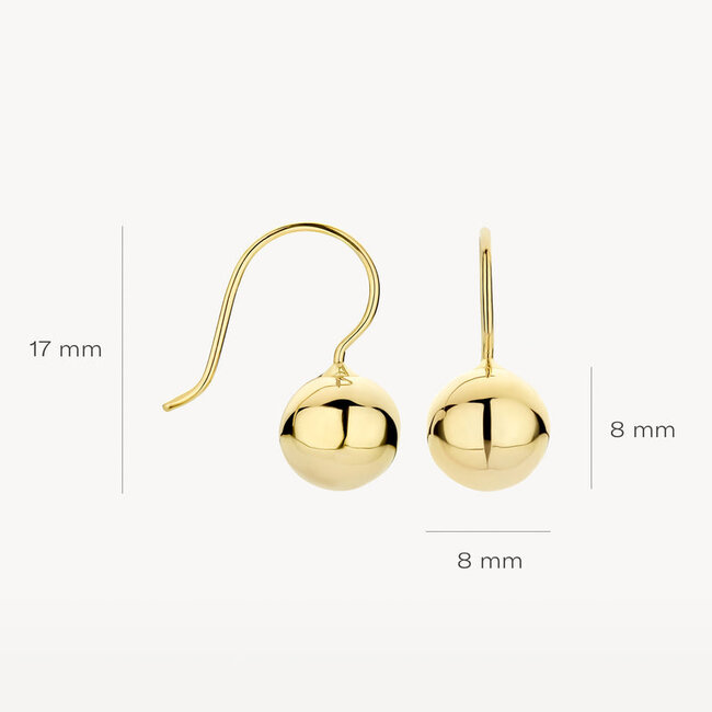 Oorbellen 7261YGO - 14k Geelgoud