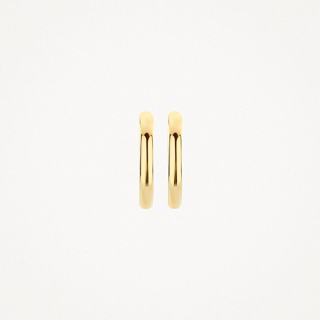 Oorringen 7271YGO - 14k Geelgoud