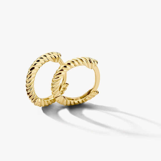 Oorringen 7265YGO - 14k Geelgoud