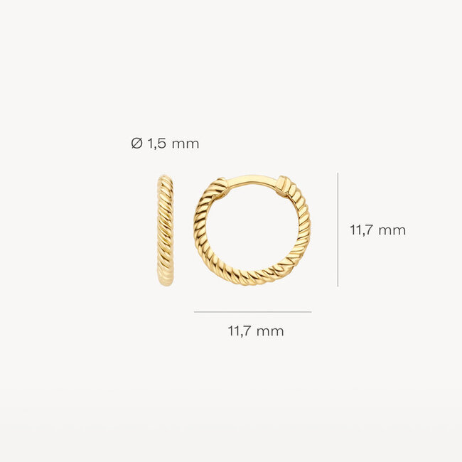 Oorringen 7266YGO - 14k Geelgoud