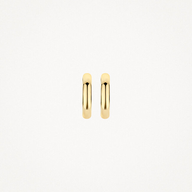 Oorringen 7267YGO - 14k Geelgoud