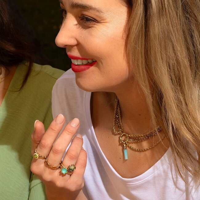 Friends Olivia Ketting (inclusief Twisted hanger) - Zilver- en goudkleurig