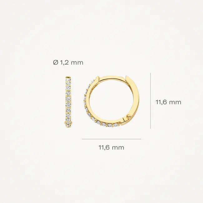 Oorringen 7270YZI - 14k Geelgoud met zirkonia