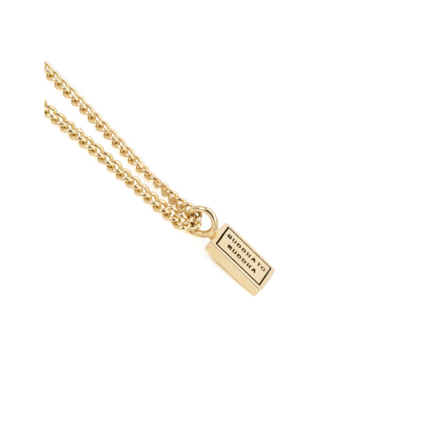 Ketting Essential XS 45,5CM Verguld