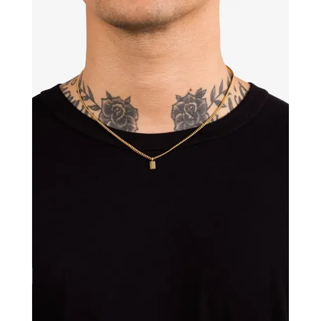 Ketting Essential XS 45,5CM Verguld