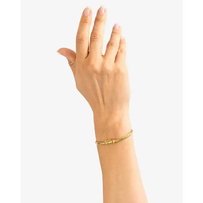Armband Ben Mini Verguld