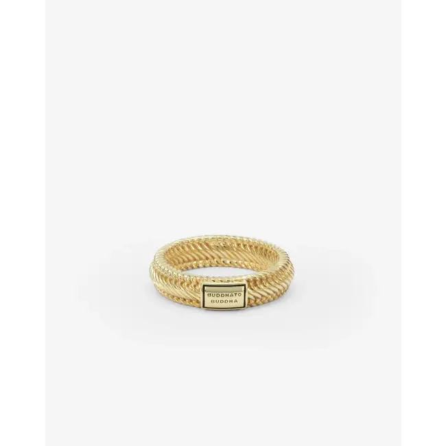 Ring Edwin Mini Verguld
