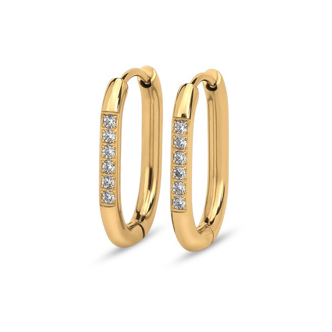 Friends Lila  Oorbellen CZ Crystal