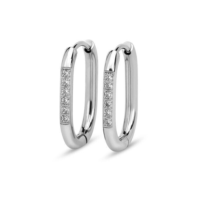 Friends Lila  Oorbellen CZ Crystal