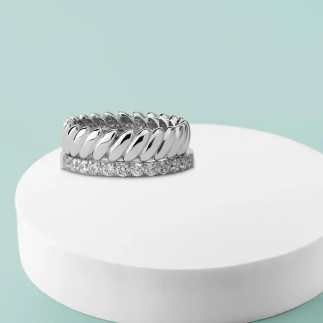 Friends Autumn Artistry Ringen Set - Zilverkleurig