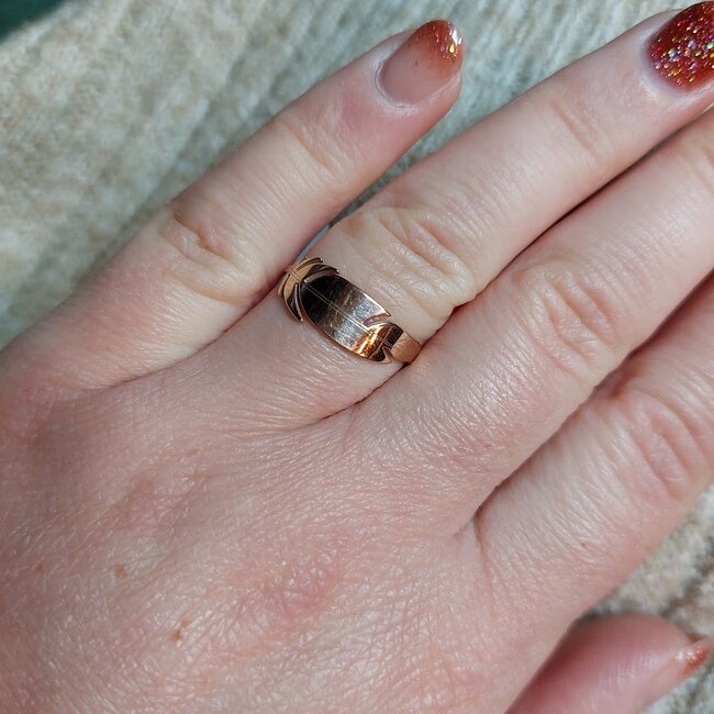 Ring Feather - Rosékleurig