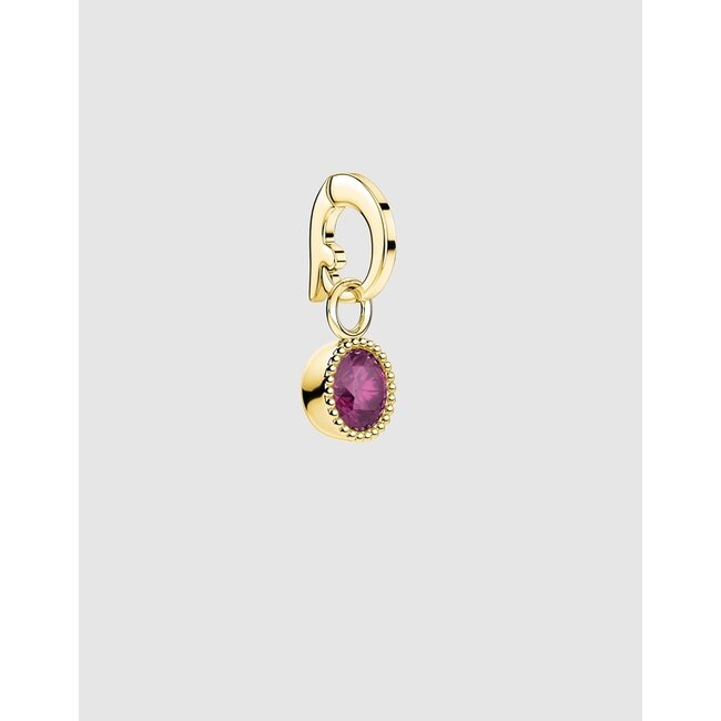 Hanger Gold Plated Geboortesteen