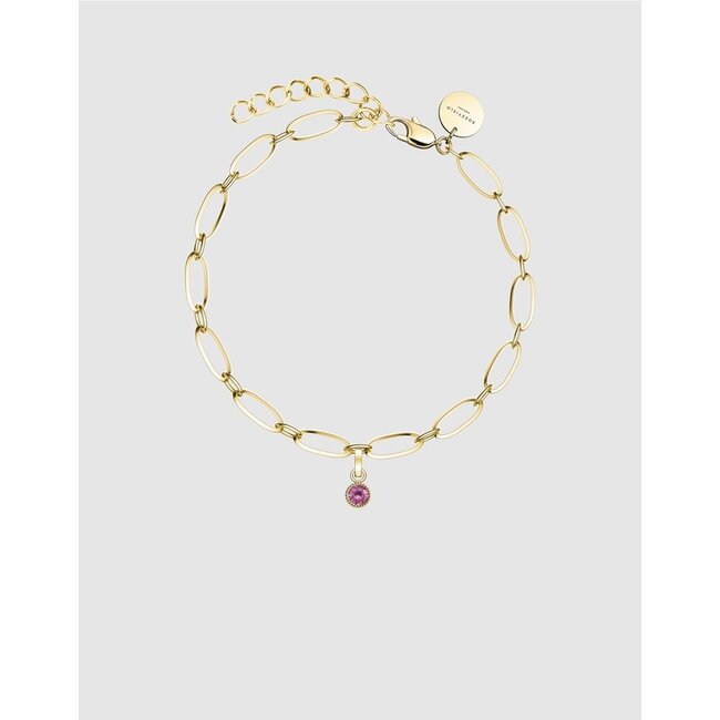 Hanger Gold Plated Geboortesteen