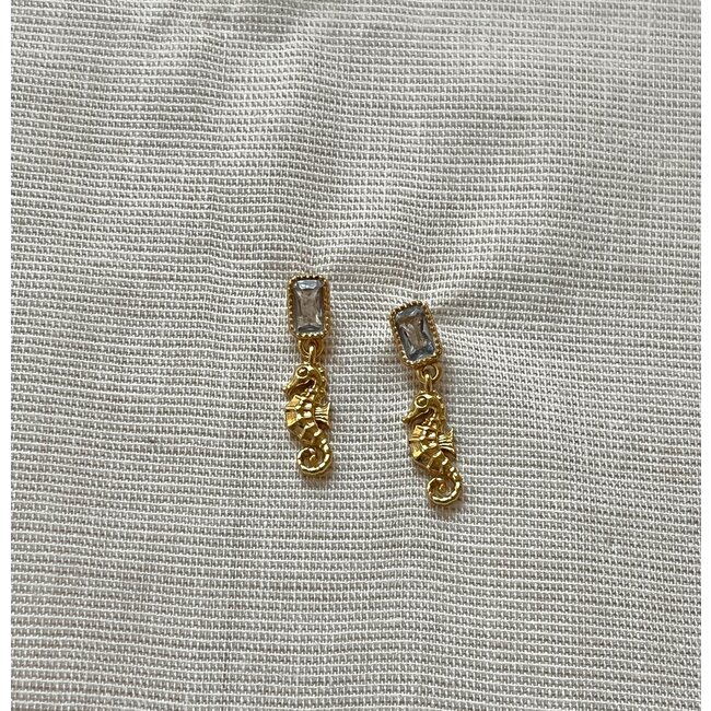 Oorbel met steen en zeepaardje - 424118Y