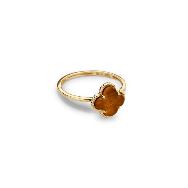 Ring 1269YTQ - Geelgoud (14k) met Tijgeroog met Rock Crystal