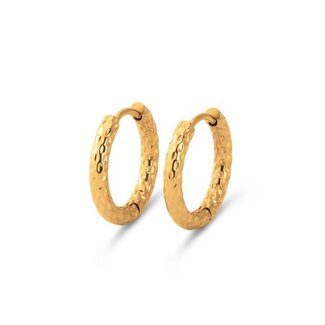 Melano Jewelry Friends Quinn Oorbellen