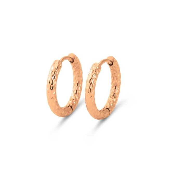 Friends Quinn Oorbellen