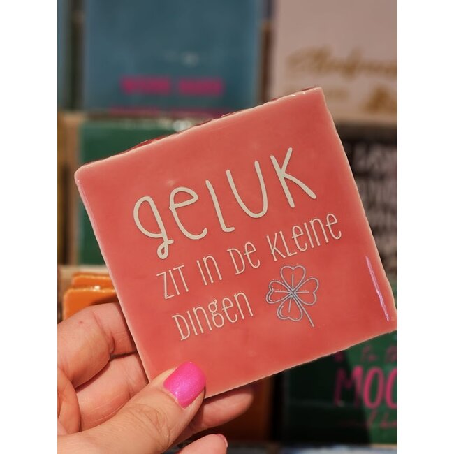 Tegeltje - Geluk zit in de kleine dingen