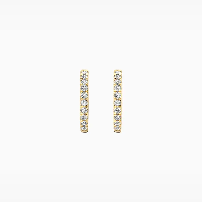 Lab Diamonds Oorringen LG7012Y - 14k Geelgoud