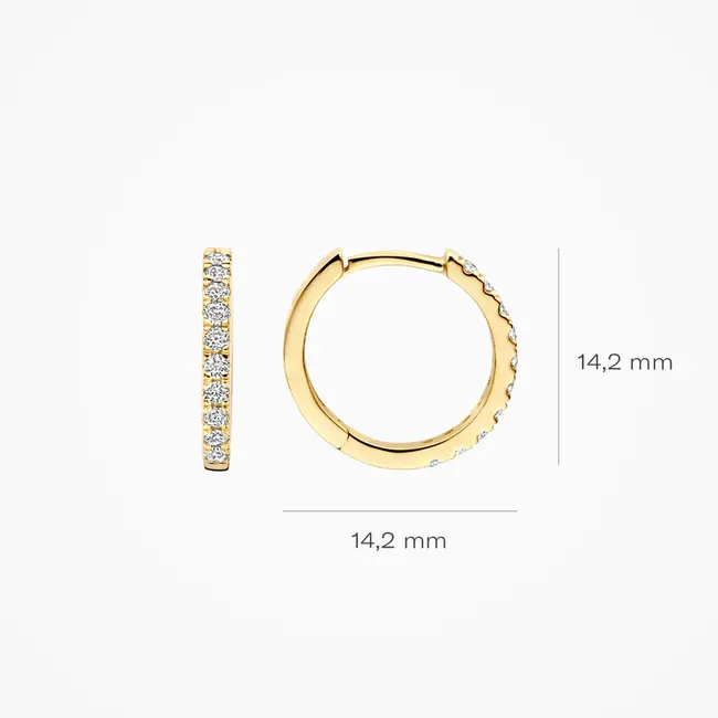 Lab Diamonds Oorringen LG7012Y - 14k Geelgoud