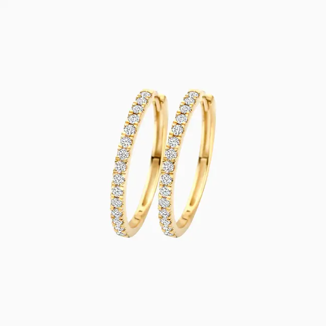 Lab Diamonds Oorringen LG7013Y - 14k Geelgoud