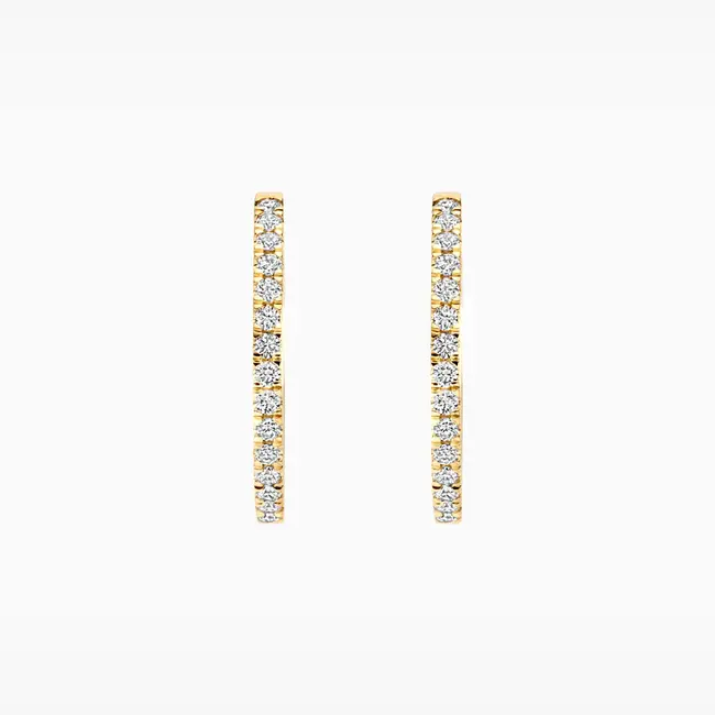 Lab Diamonds Oorringen LG7013Y - 14k Geelgoud