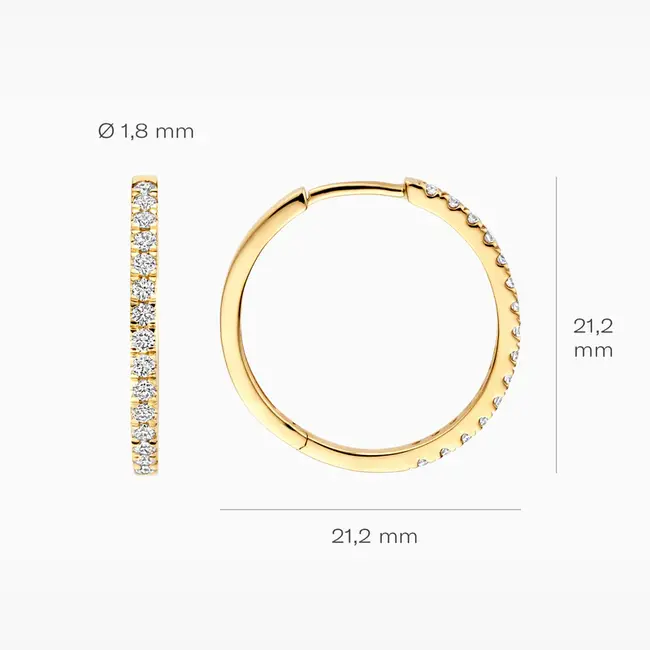 Lab Diamonds Oorringen LG7013Y - 14k Geelgoud