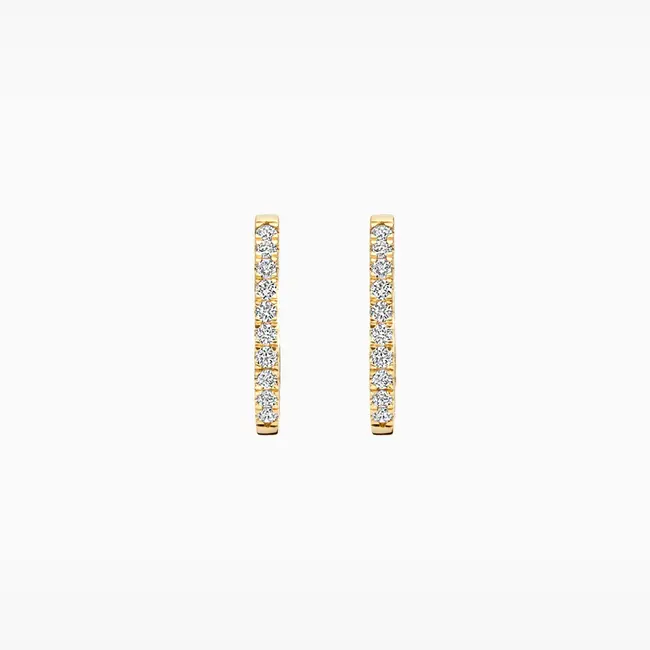 Lab Diamonds Oorringen LG7014Y - 14k Geelgoud