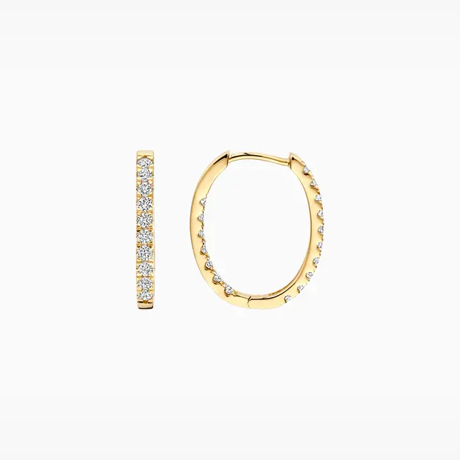 Lab Diamonds Oorringen LG7014Y - 14k Geelgoud