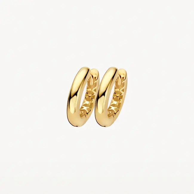 Oorringen LG7021Y - 14k Geelgoud